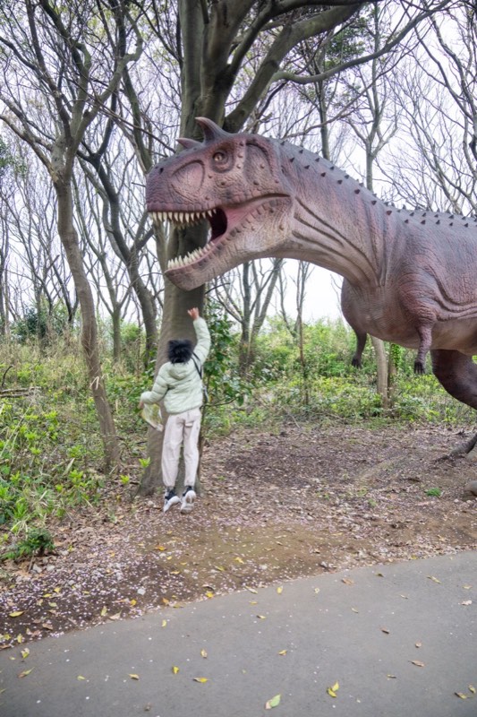 芝政世界-恐竜の森