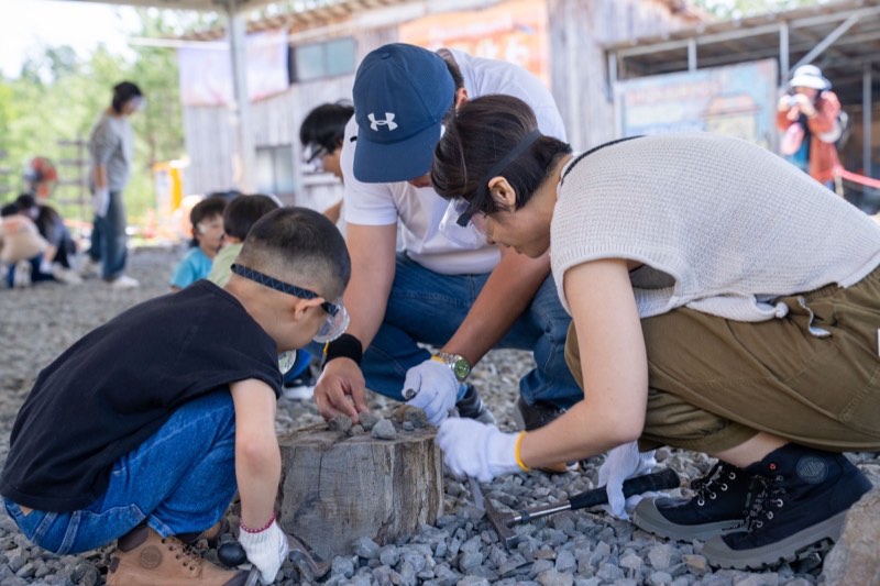 化石挖掘體驗