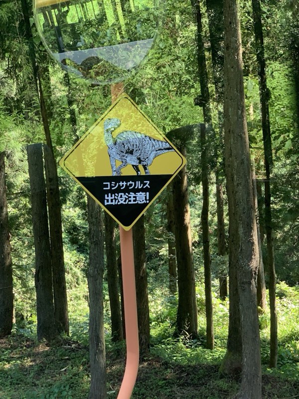 小心恐龍出沒！