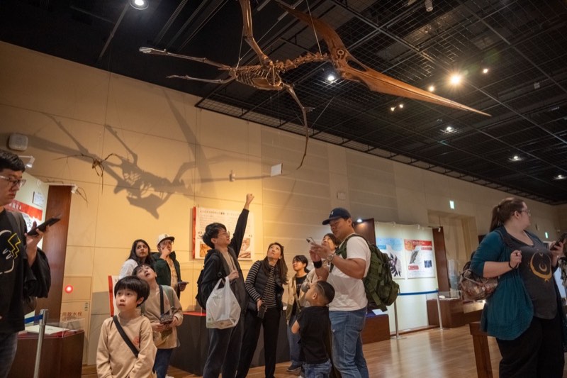 SEC 親子在博物館觀察翼龍骨架