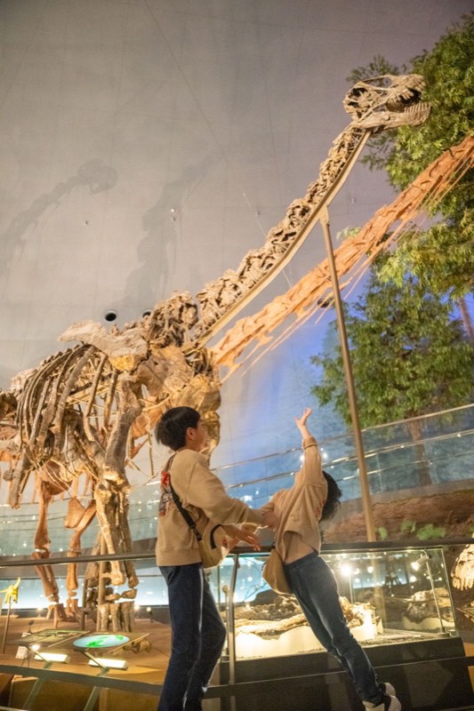 孩子們仰望巨大恐龍骨架