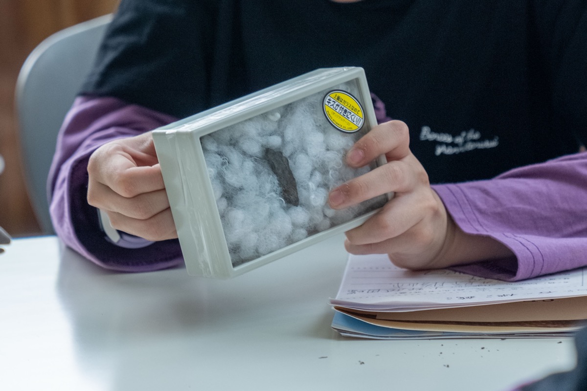 SEC 課程 — 化石鑑定