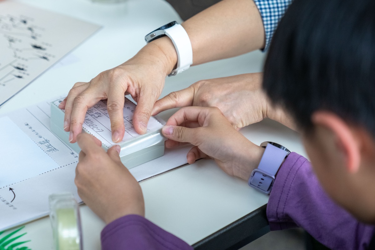 SEC 課程 — 化石鑑定