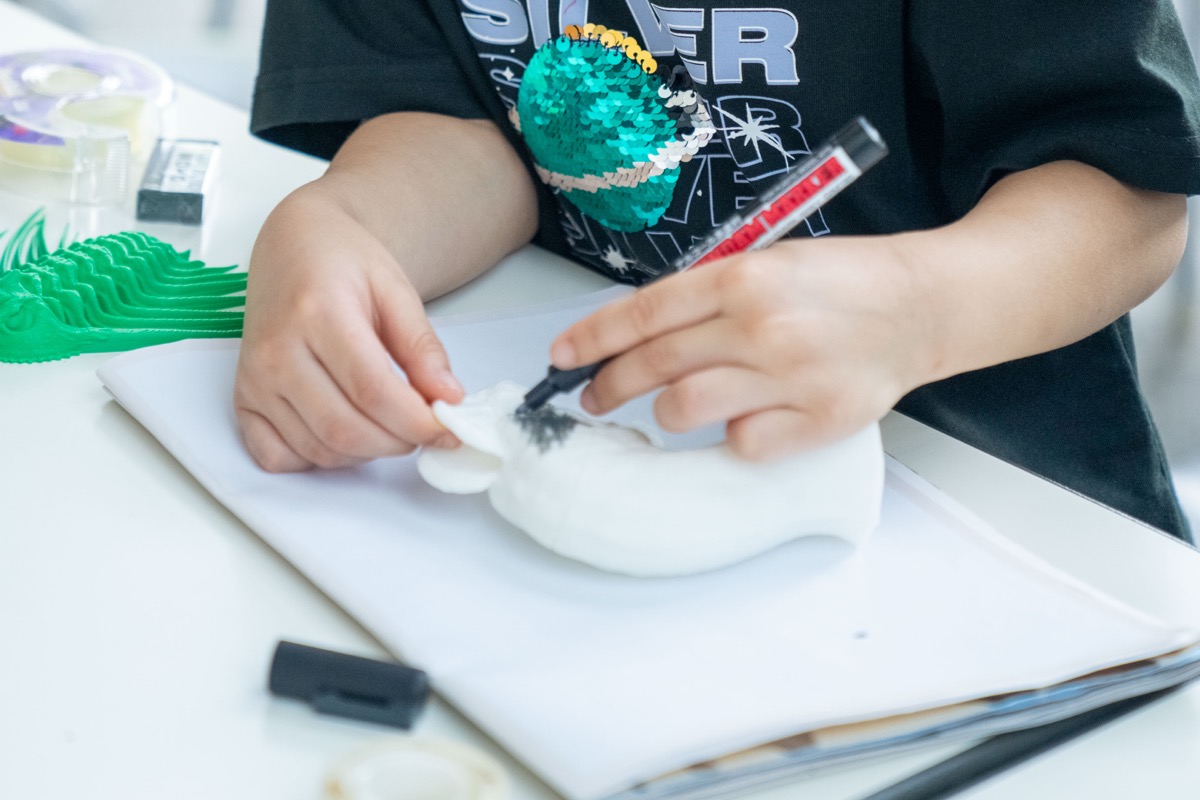 SEC 課程 — 彩繪雙冠龍