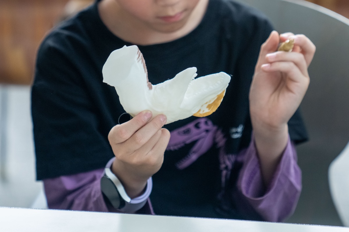 SEC 課程 — 彩繪雙冠龍